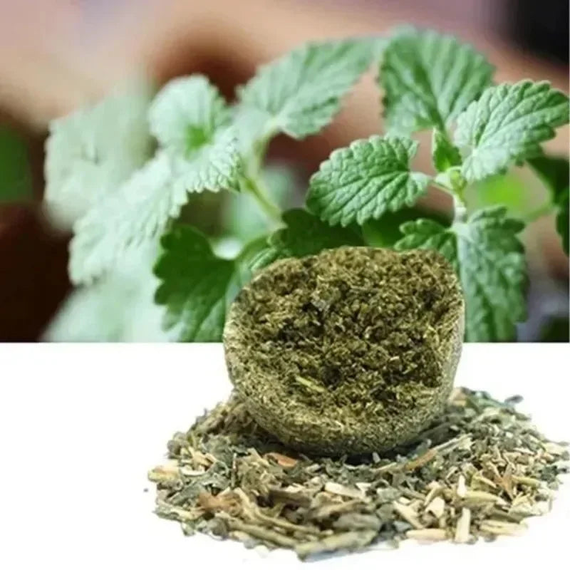 Natural Catnip Ball Toy