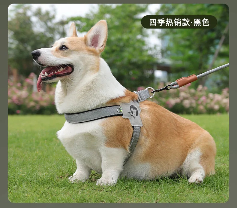 Adjustable Reflective Dog Harness