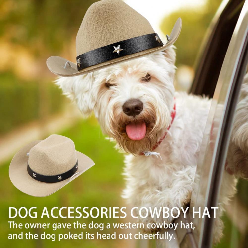 Cowboy Costume for Pets