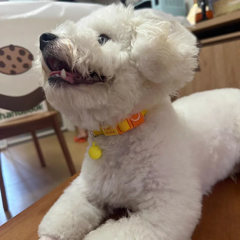 Stylish Elastic Cat Collar