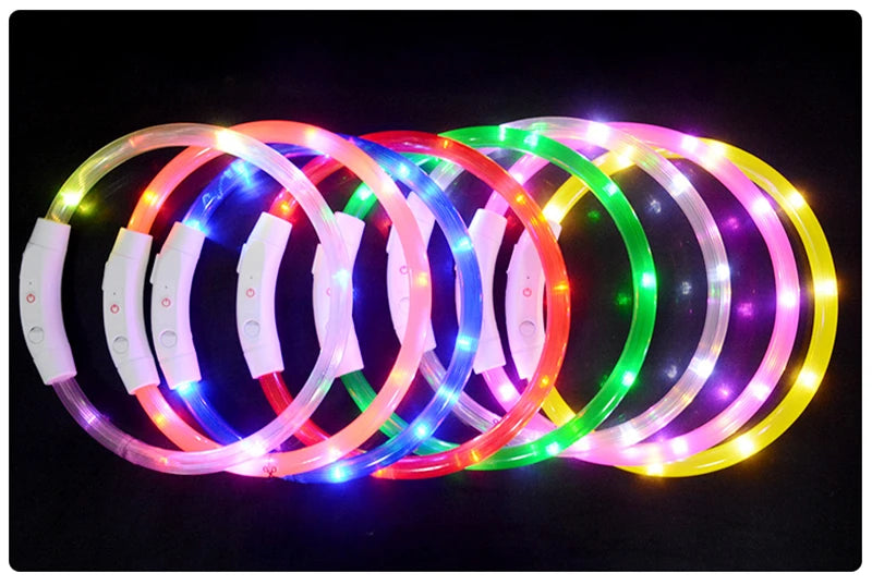 Glow in the Dark Dog Collar