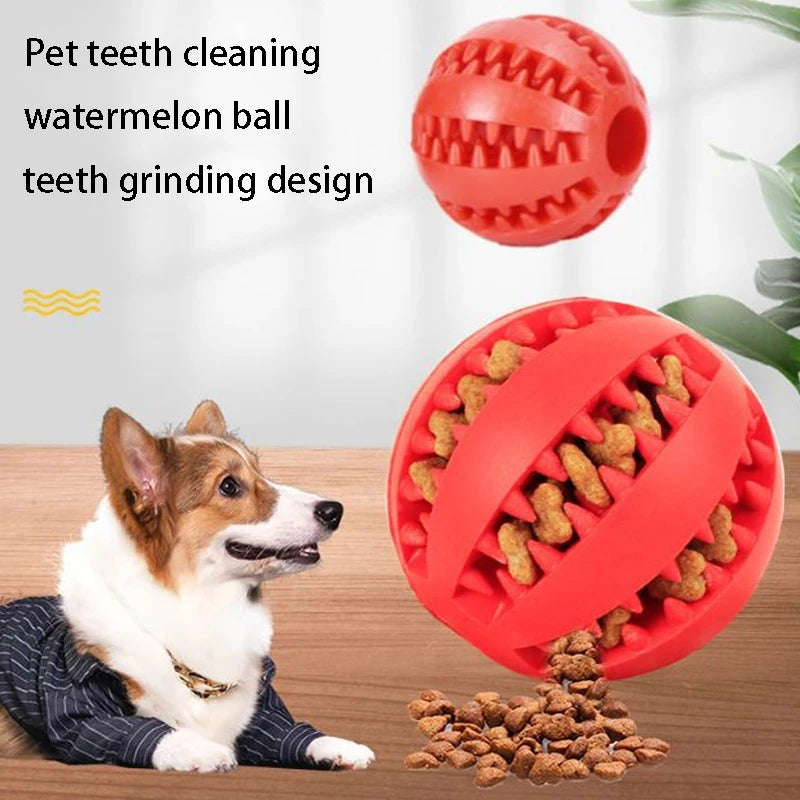 Fun Chew Toy Ball