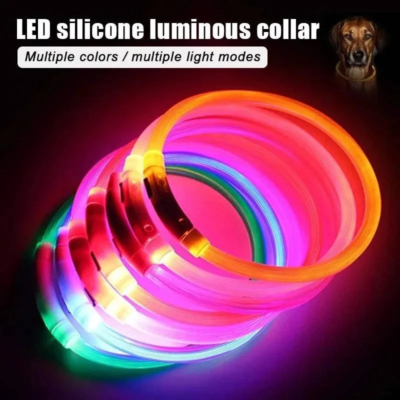 Glow in the Dark Dog Collar