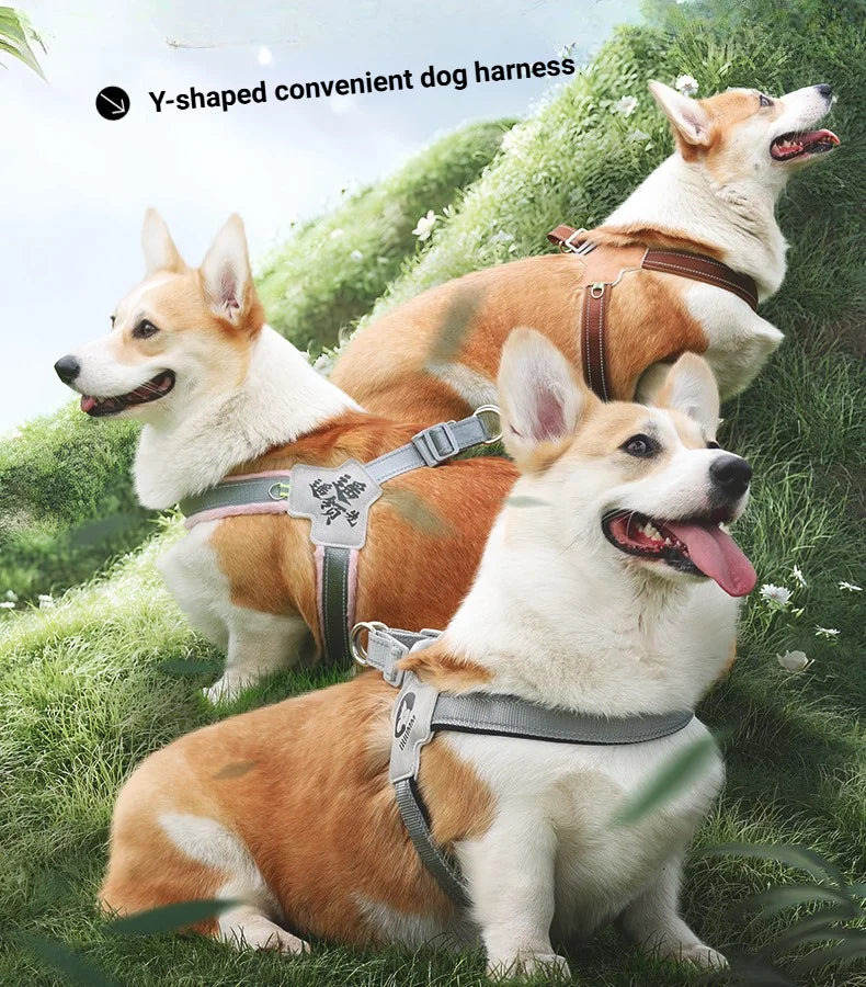 Adjustable Reflective Dog Harness