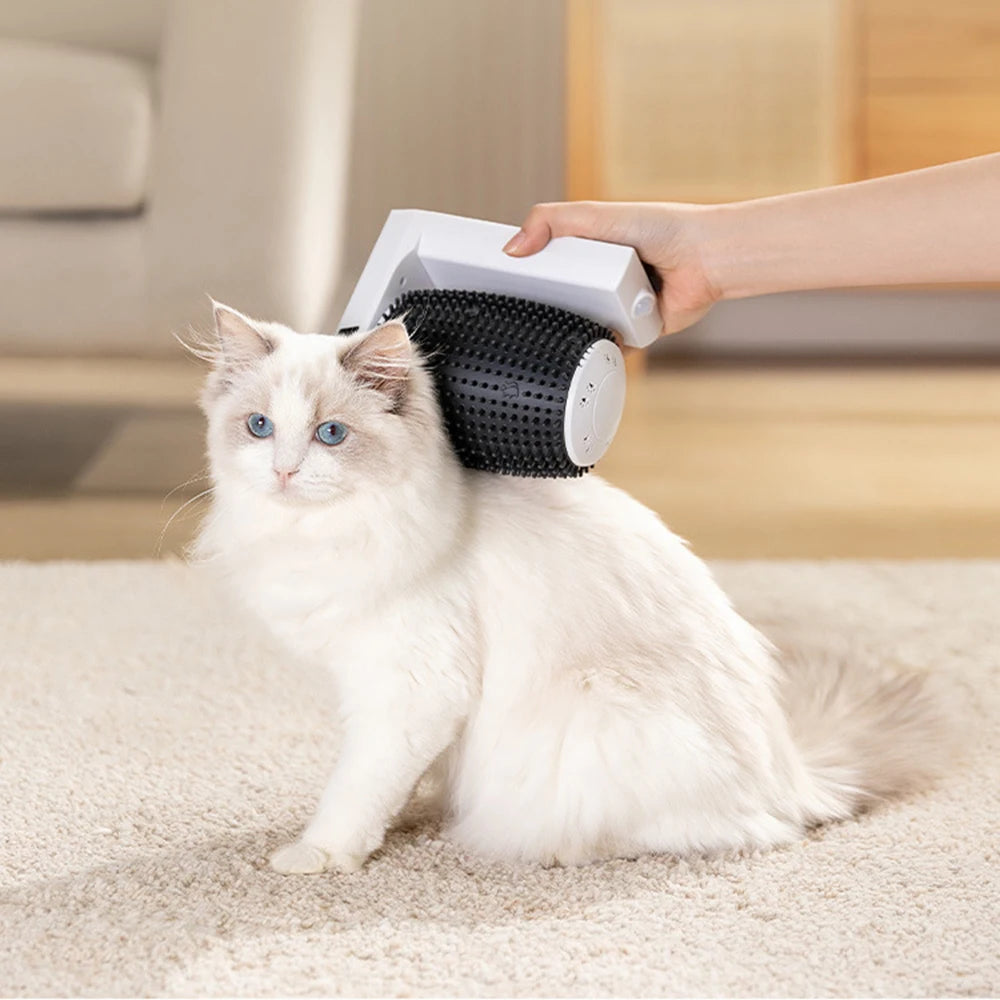 Interactive Cat Grooming Toy