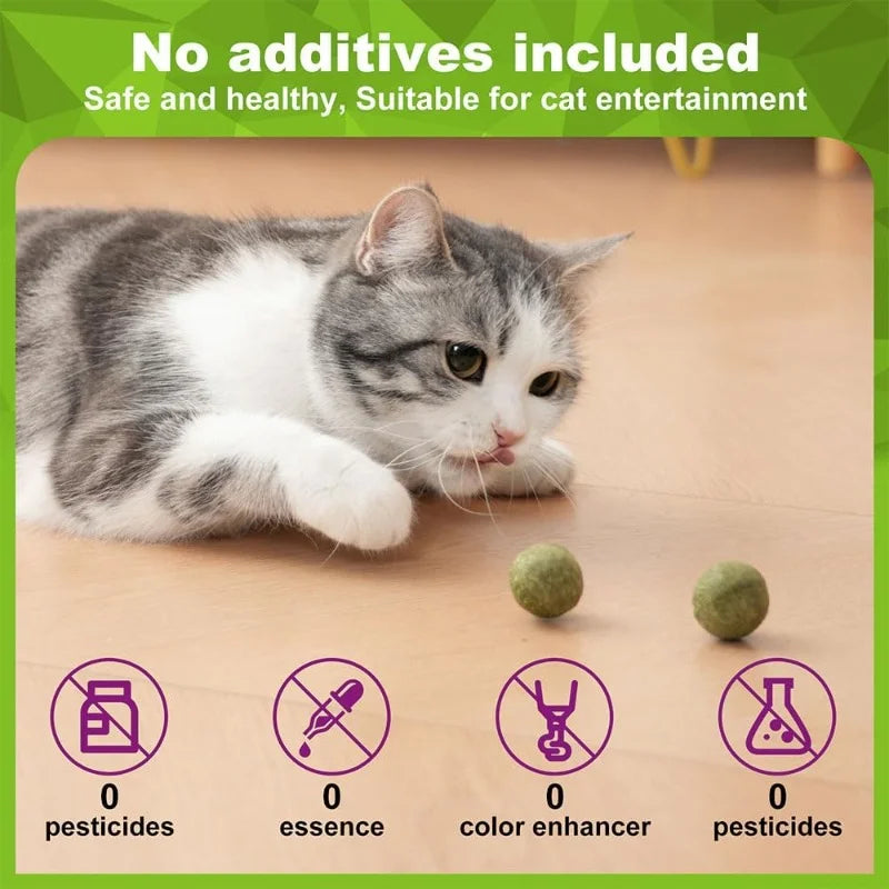 Natural Catnip Ball Toy