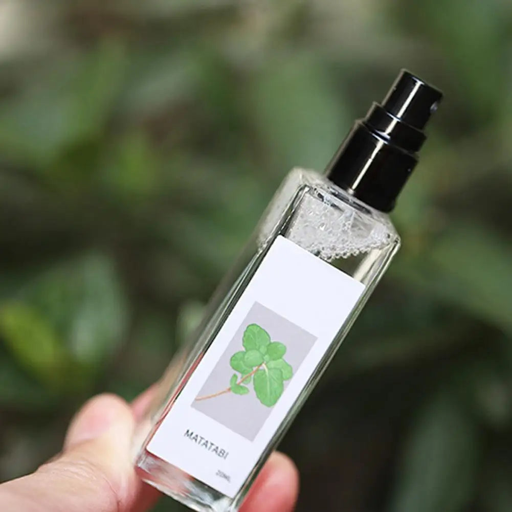 Calming Cat Mint Spray