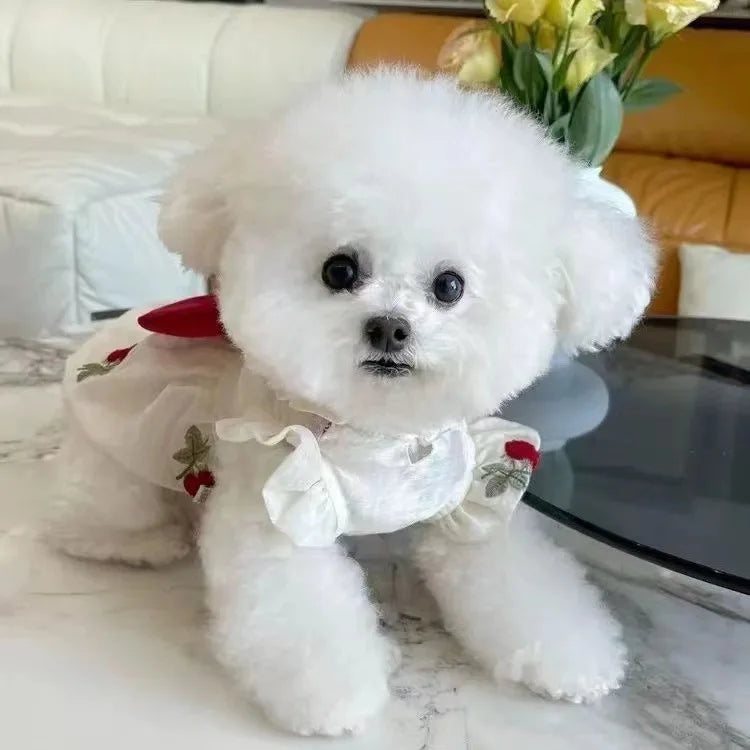 Cute Cherry Bow Yarn Dress