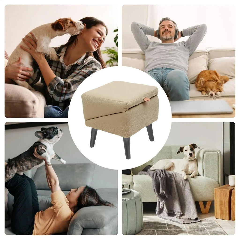 Dual-Purpose Dog Stair Ramp