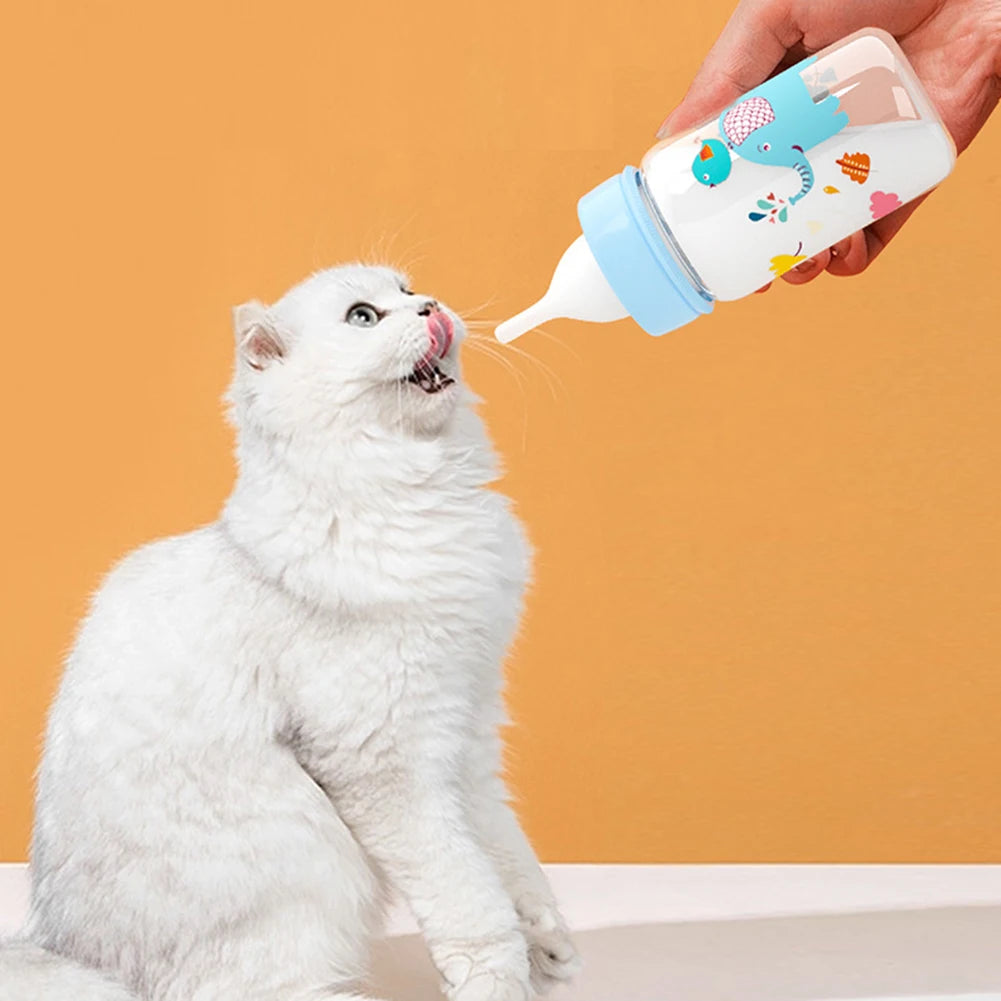 Cute Kitten Feeding Bottle