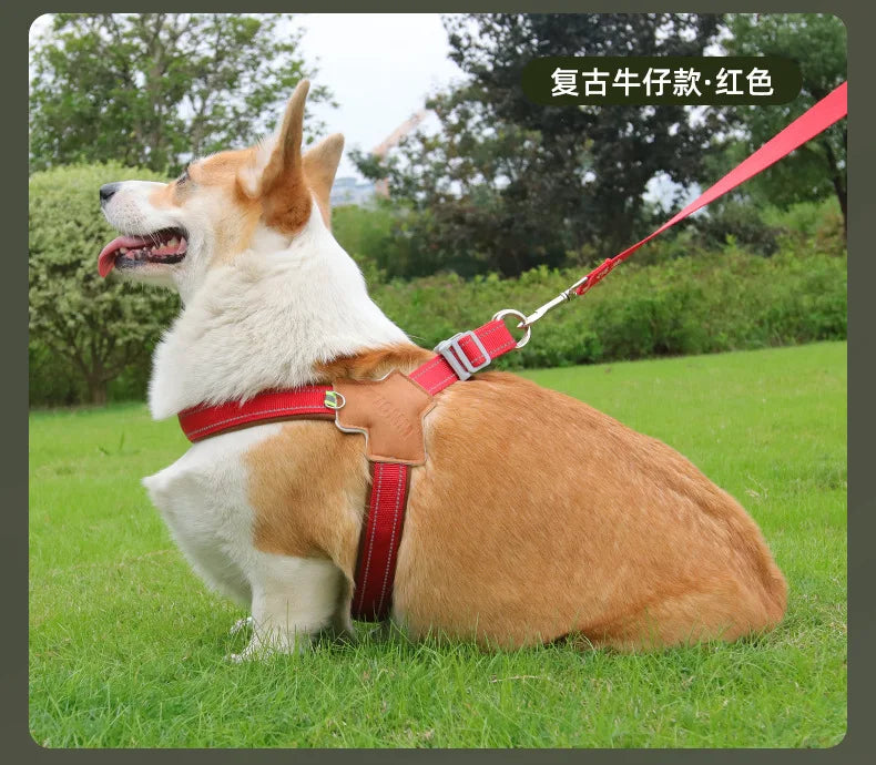 Adjustable Reflective Dog Harness