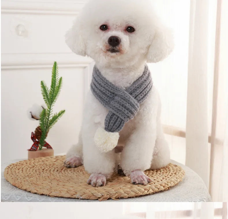 Cozy Winter Pet Scarf