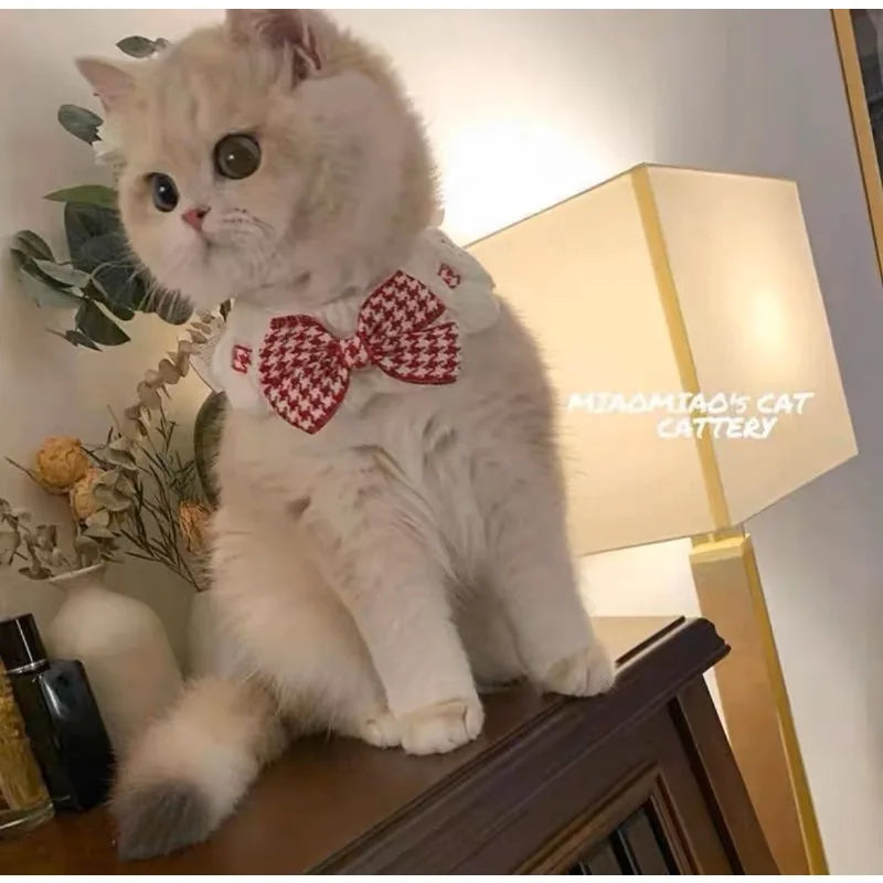 Elegant Lace Ruffle Pet Collar