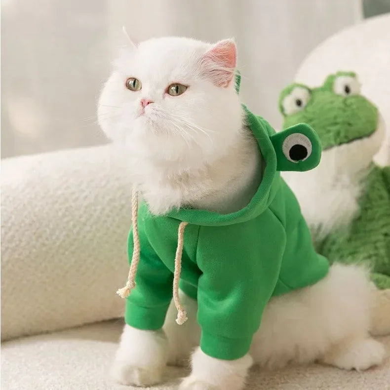 Adorable Frog Hoodie for Pets