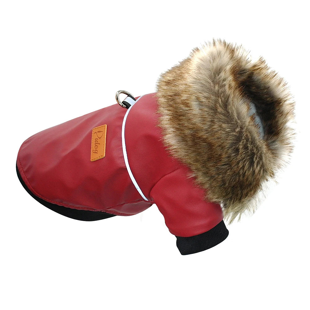Stylish Dog Leather Jacket