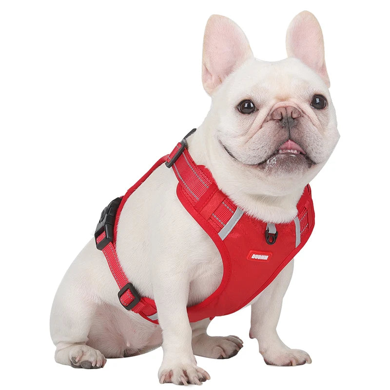 Reflective Dog Harness for Safe Walks