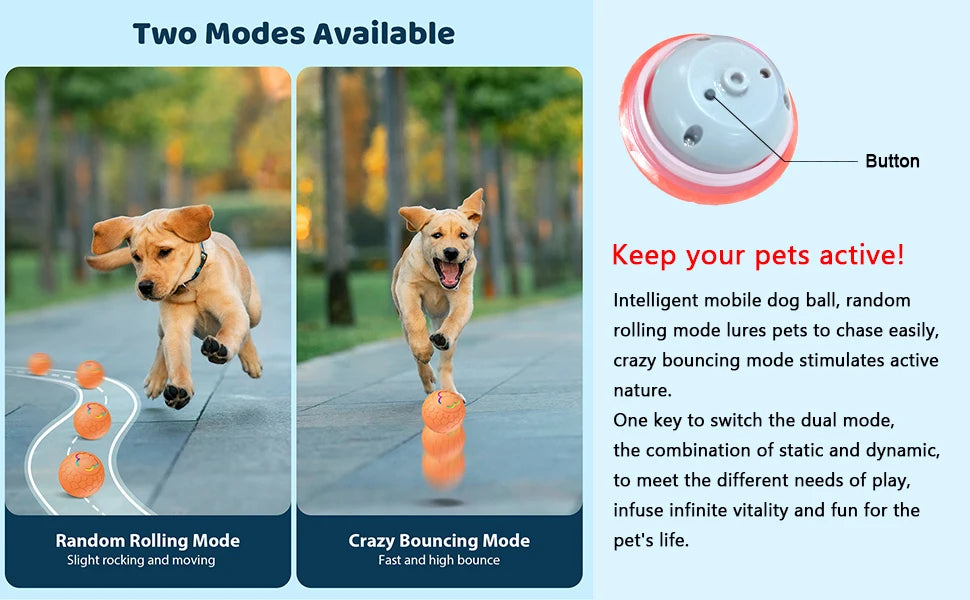 Interactive LED Dog Toy Ball