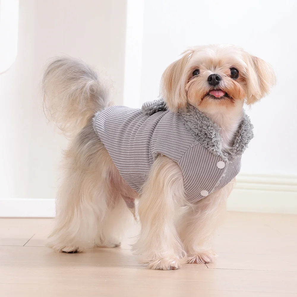 Cozy Bow Dog Jacket
