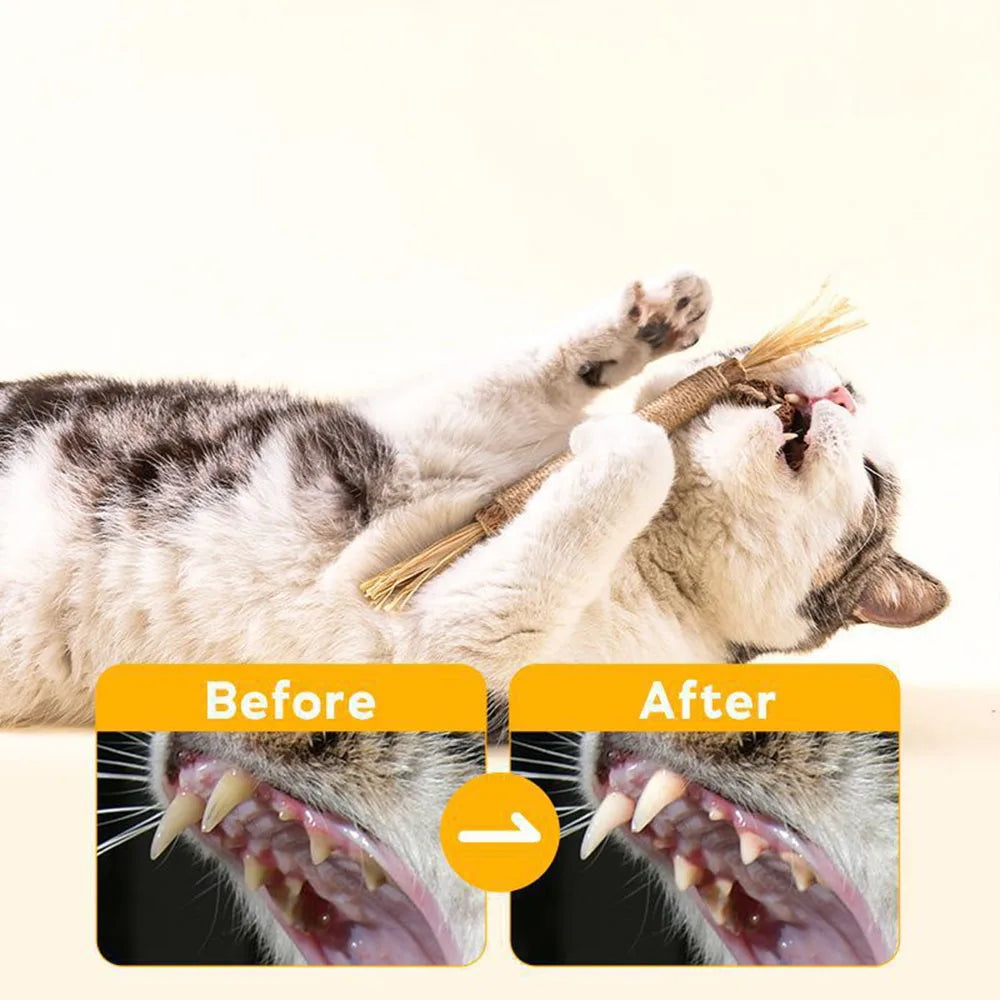 Durable Cat Chew Stick