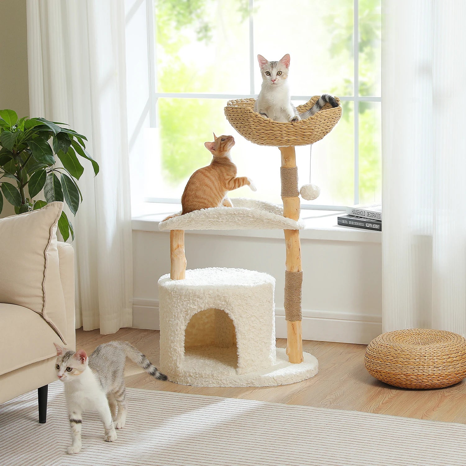 Stylish Cat Tree with Hammock
