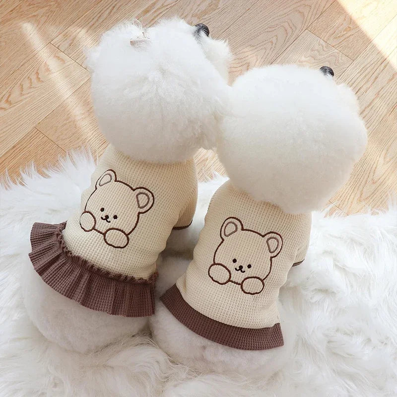 Adorable Pet Couple Outfits