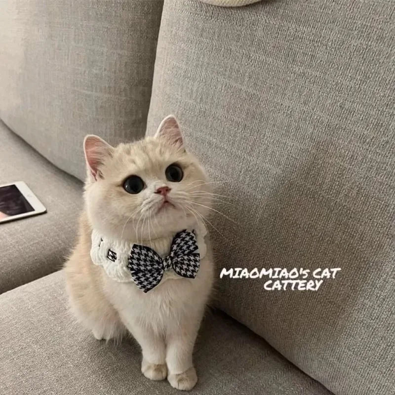 Elegant Lace Ruffle Pet Collar