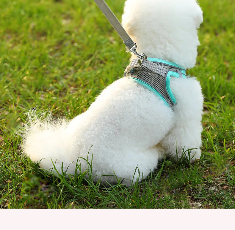 Versatile Dog Harness for All Breeds