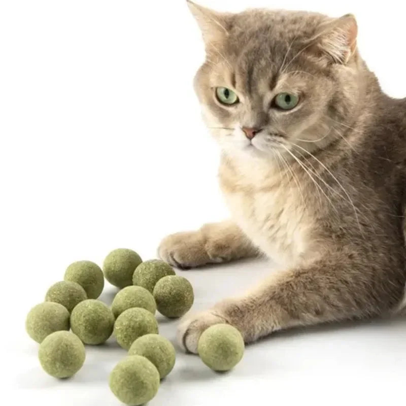 Natural Catnip Ball Toy
