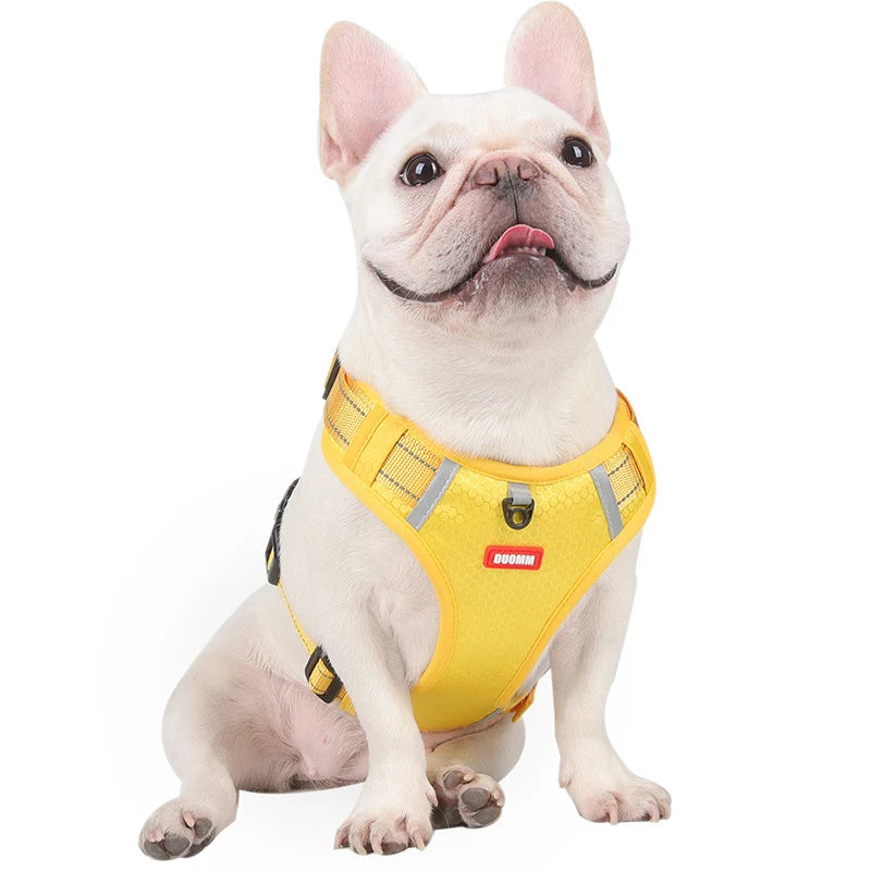 Reflective Dog Harness for Safe Walks
