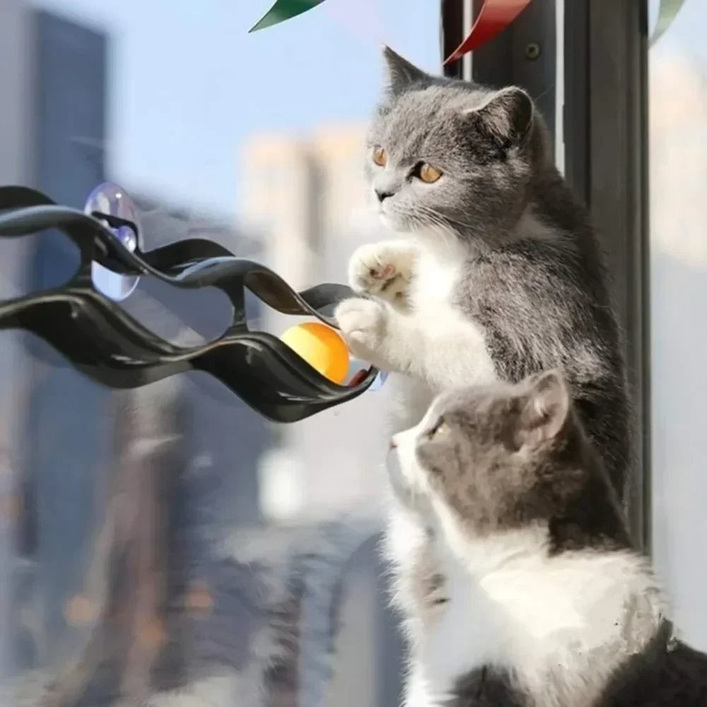 Fun Window Cat Track Toy