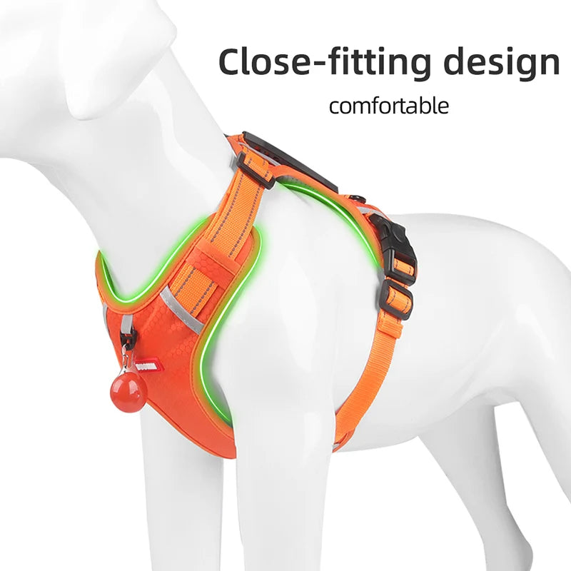 Reflective Dog Harness for Safe Walks