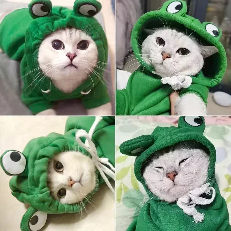 Adorable Frog Hoodie for Pets