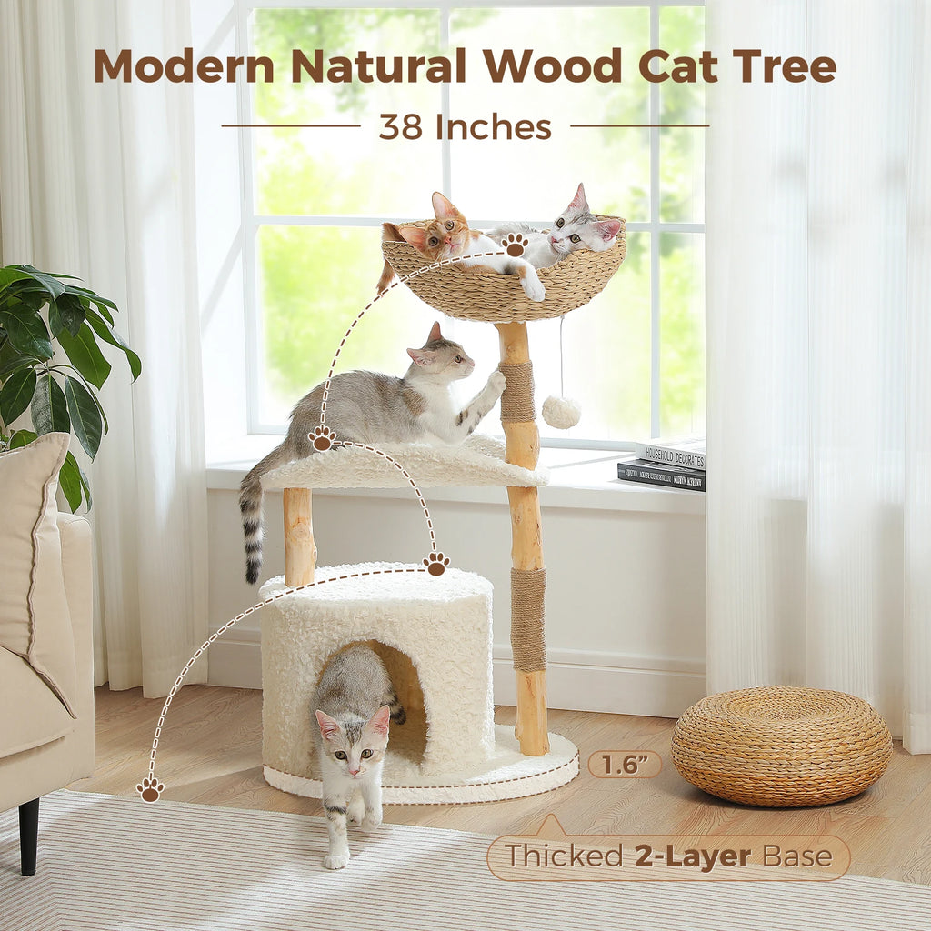 Stylish Cat Tree with Hammock