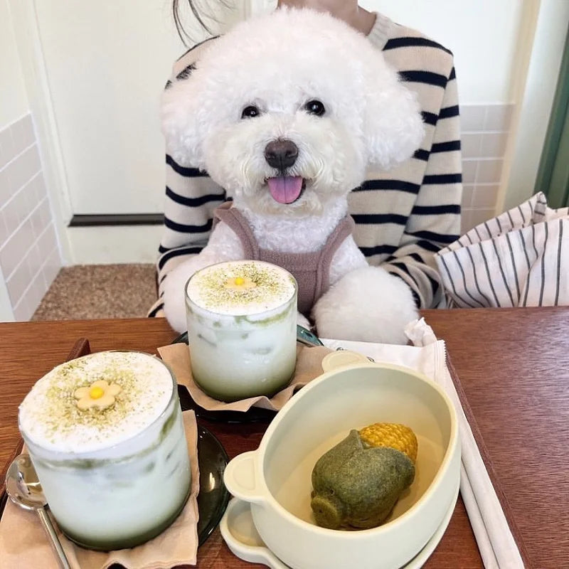Cozy Bear Dog Jumpsuit