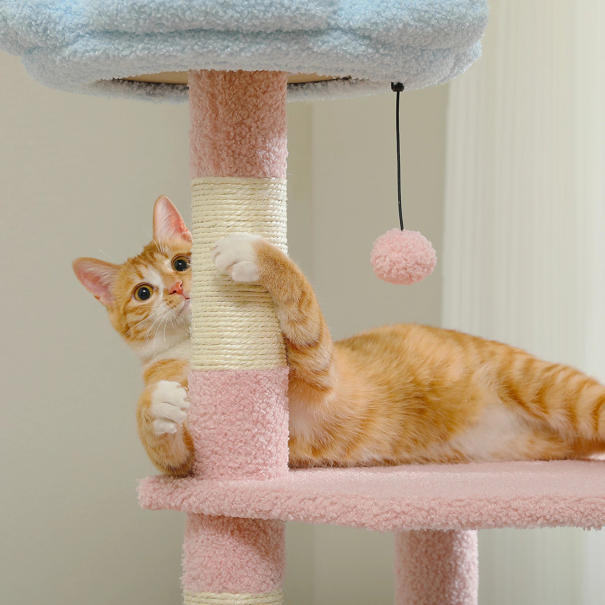 Cute Multi-Level Cat Tree