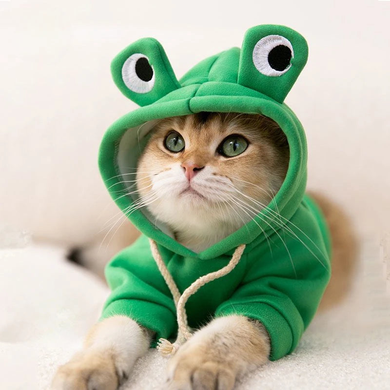 Adorable Frog Hoodie for Pets
