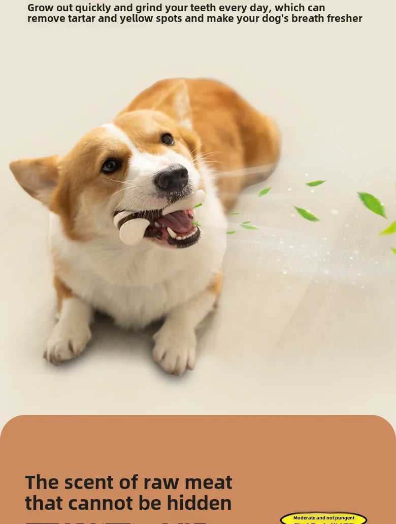 Durable Chew Stick Toy