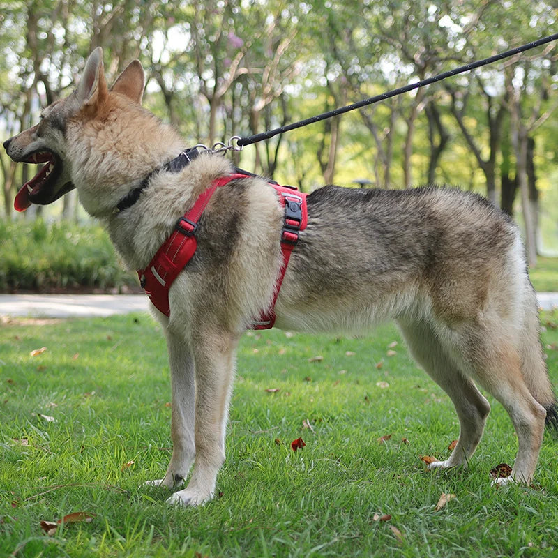 Reflective Dog Harness for Safe Walks