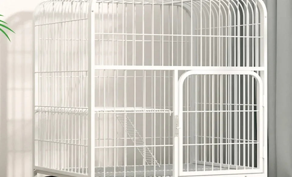 Luxury Cat Villa for Apartments