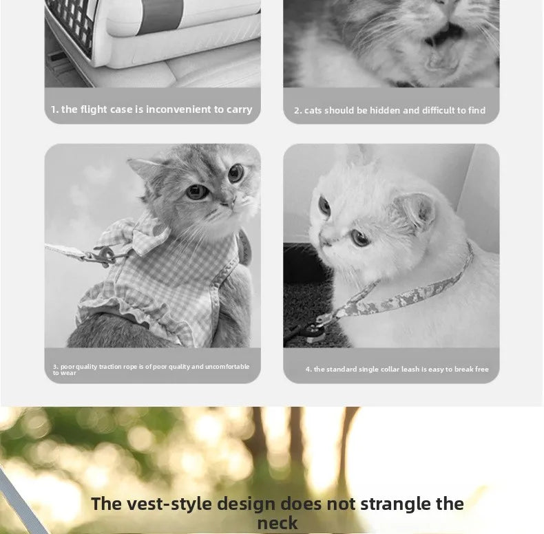 Versatile Dog Harness for All Breeds