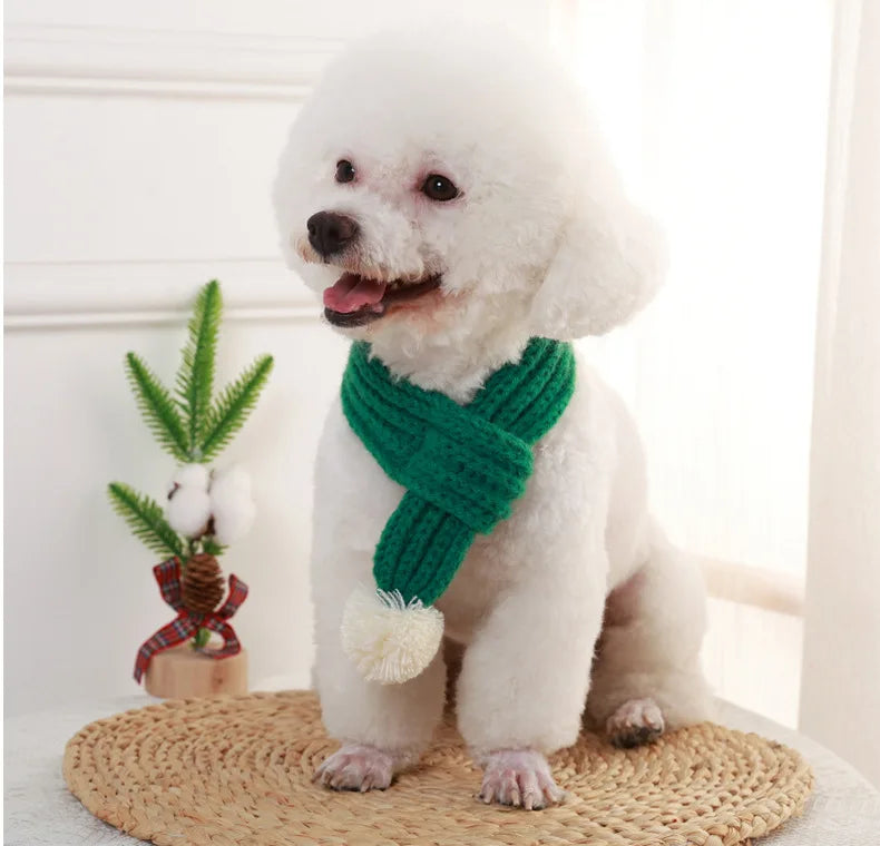 Cozy Winter Pet Scarf