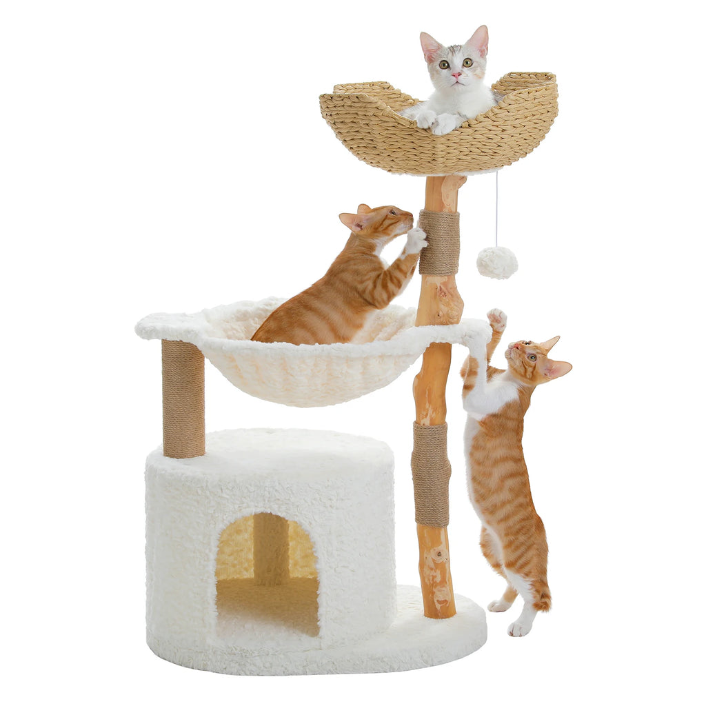 Stylish Cat Tree with Hammock