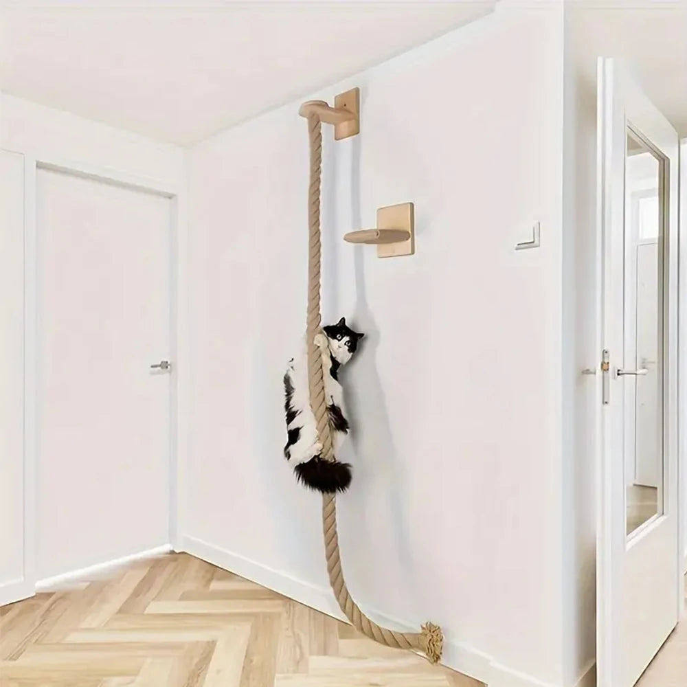 Wall-Mounted Cat Climbing Rack