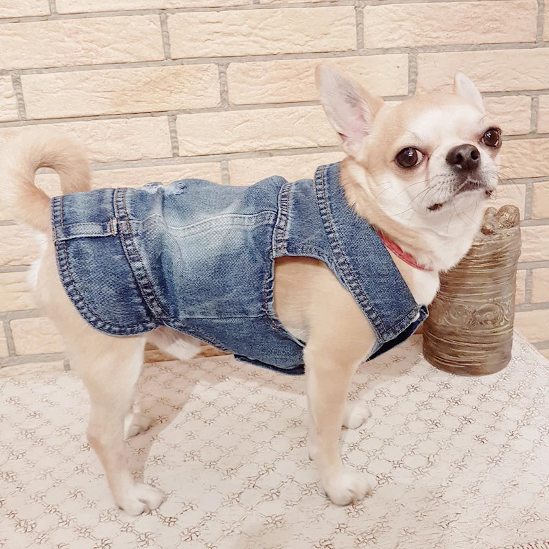 Denim Dog Jacket for Small Pups