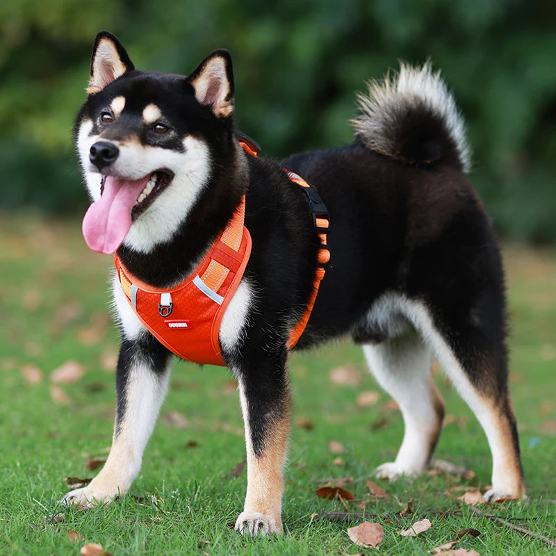 Reflective Dog Harness for Safe Walks