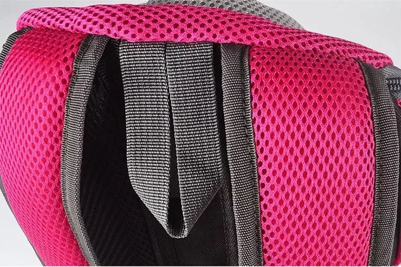 Travel Pet Backpack Companion