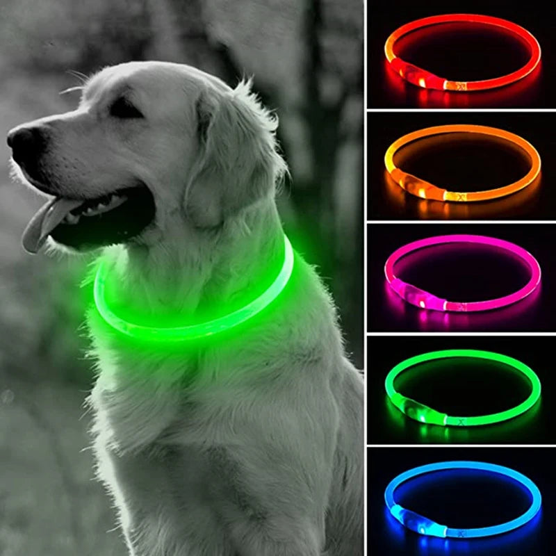 Glow in the Dark Dog Collar