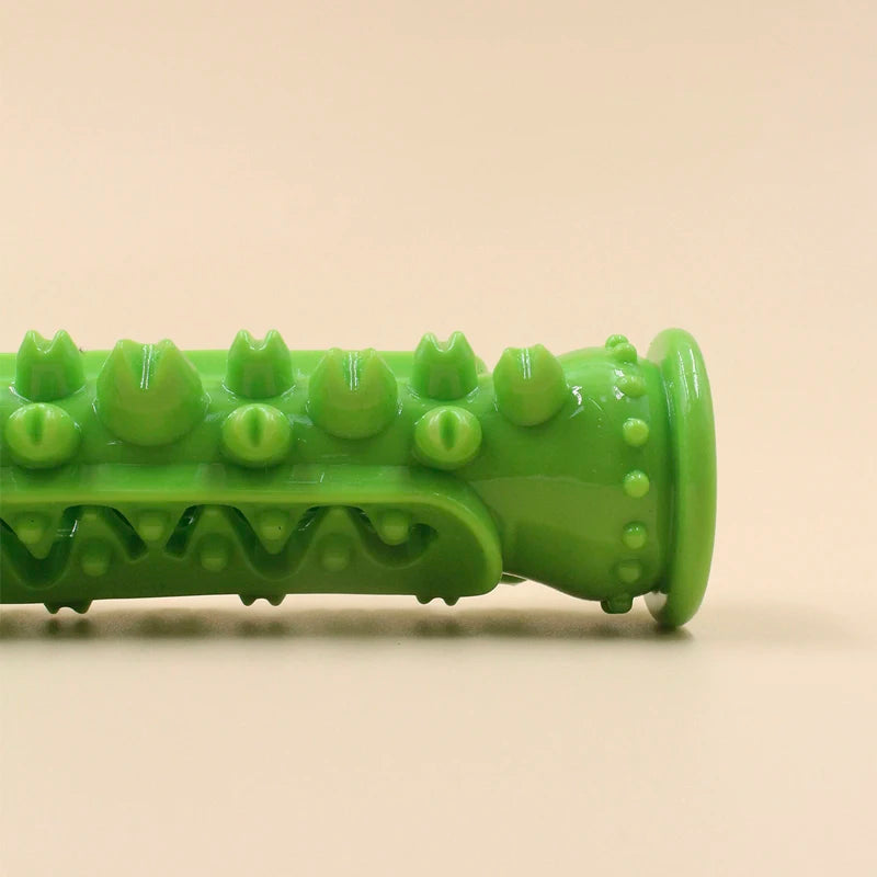 Interactive Dog Toothbrush Chew Toy