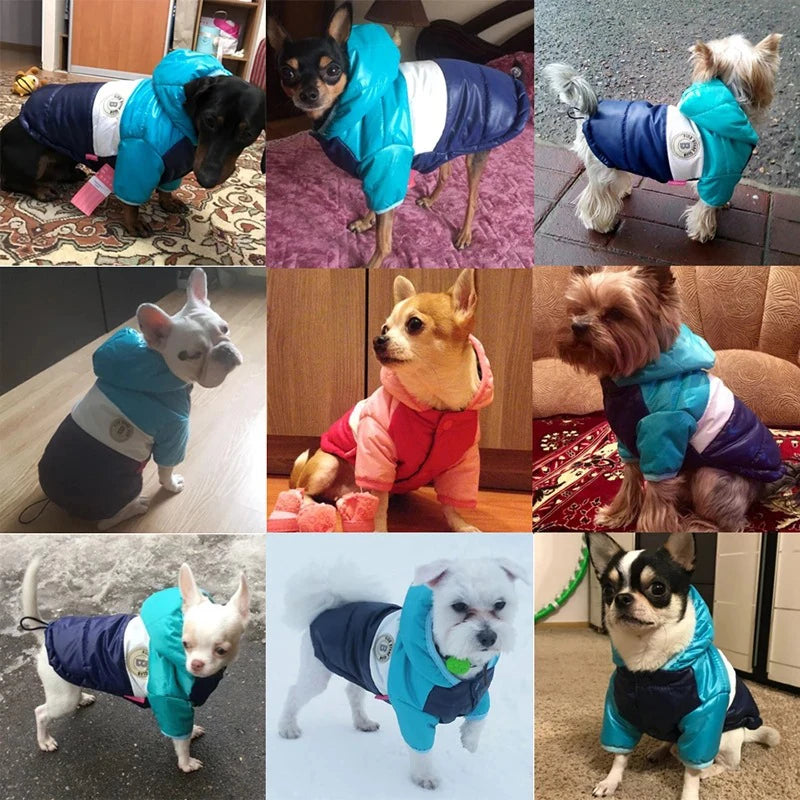 Cozy Waterproof Dog Winter Jacket
