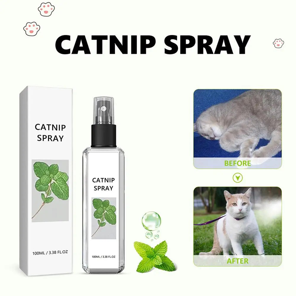 Calming Cat Mint Spray